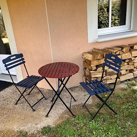 Comme Dans Un Ecrin - T2 De 50 M² Avec Jardin, Terrasse Et Piscine Apartment Vernaison Luaran gambar